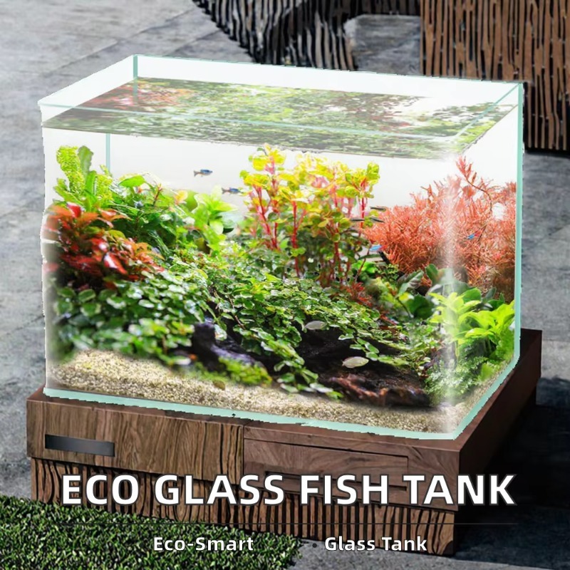 Caja de embalaje para acuario  - Saltwater Tank reseña y precio