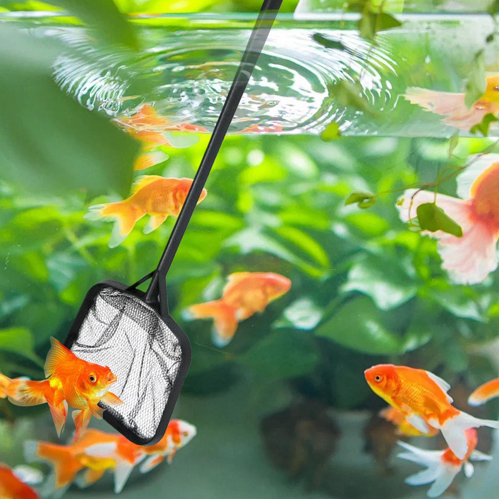 Redes de limpieza para piscina - Ocean Aquarium reseña y precio