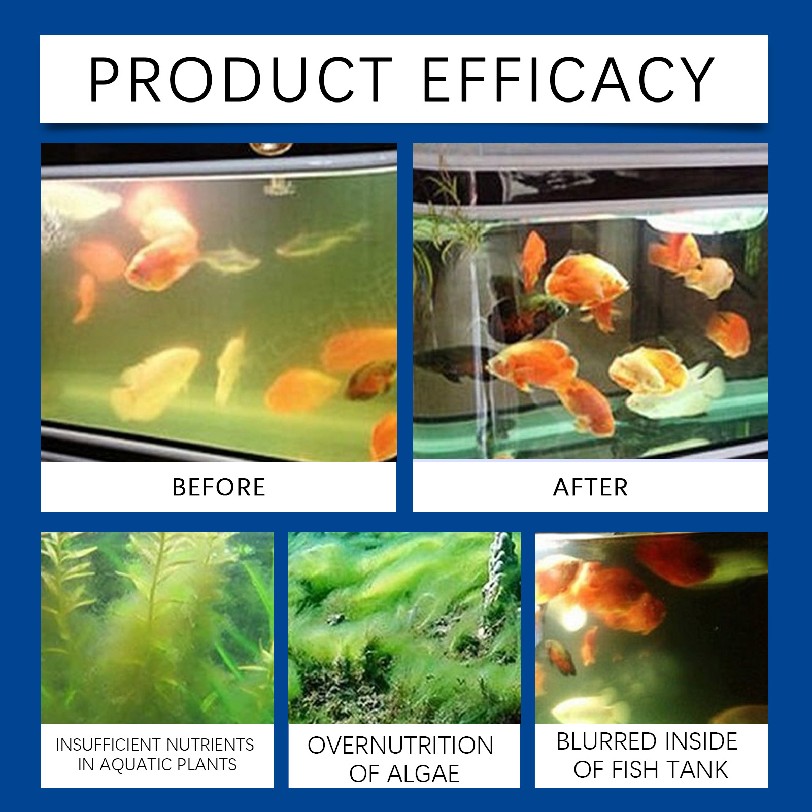 Clarificador de agua para acua - Ocean Aquarium reseña y precio