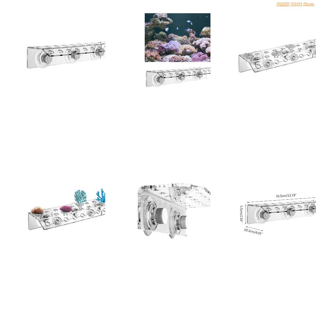 Estante acrílico K1AE para fra - Reef Aquarium reseña y precio