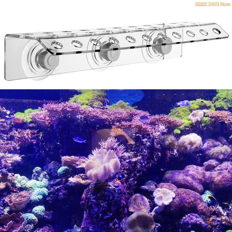 Estante acrílico K1AE para fra - Reef Aquarium reseña y precio