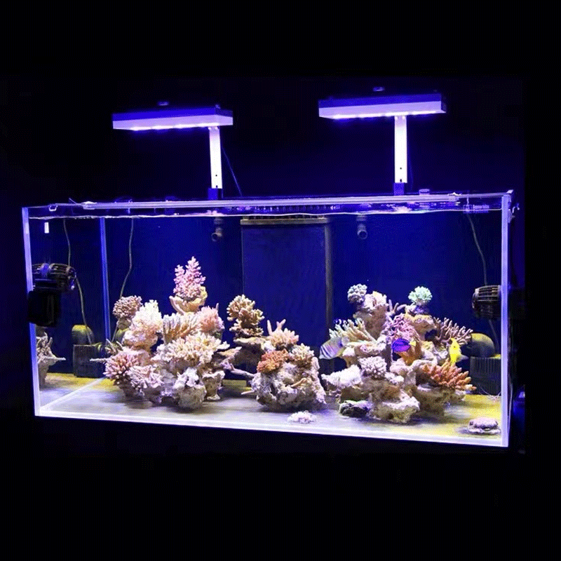 Aqua Lighting AI Hydra 32HD/64 - Reef Lighting reseña y precio