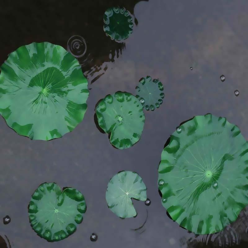 Hojas de Loto Artificiales 202 - Ocean Aquarium reseña y precio