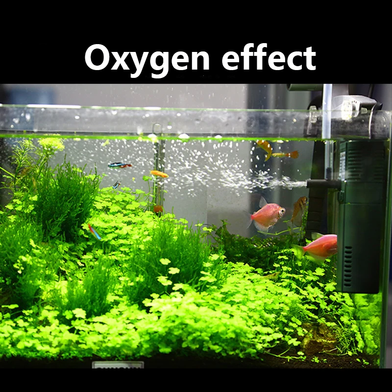 SUNSUN-bomba sumergible de oxí - Reef Tank Filter reseña y precio